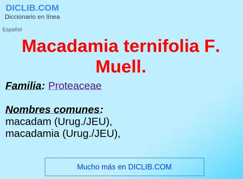 Wat is Macadamia ternifolia F. Muell. - definition