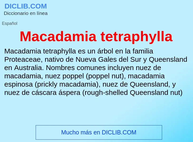 Wat is Macadamia tetraphylla - definition