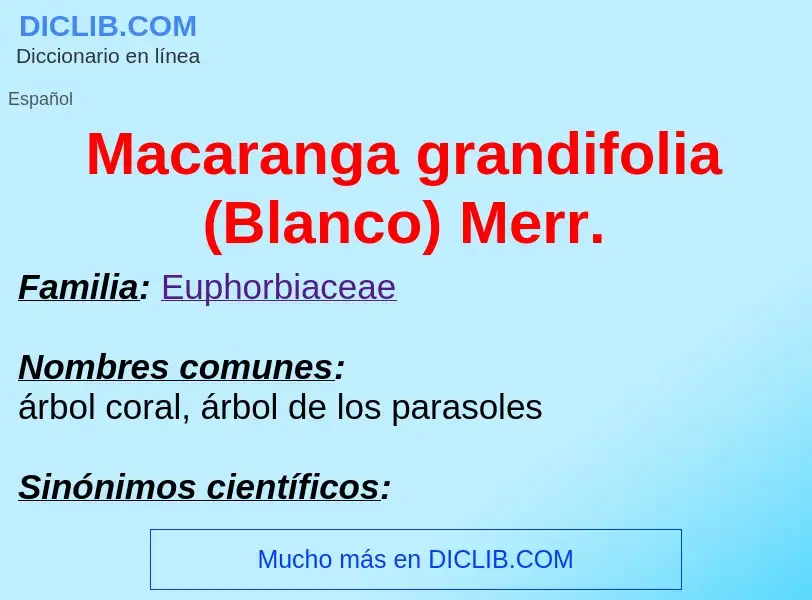 Wat is Macaranga grandifolia (Blanco) Merr. - definition