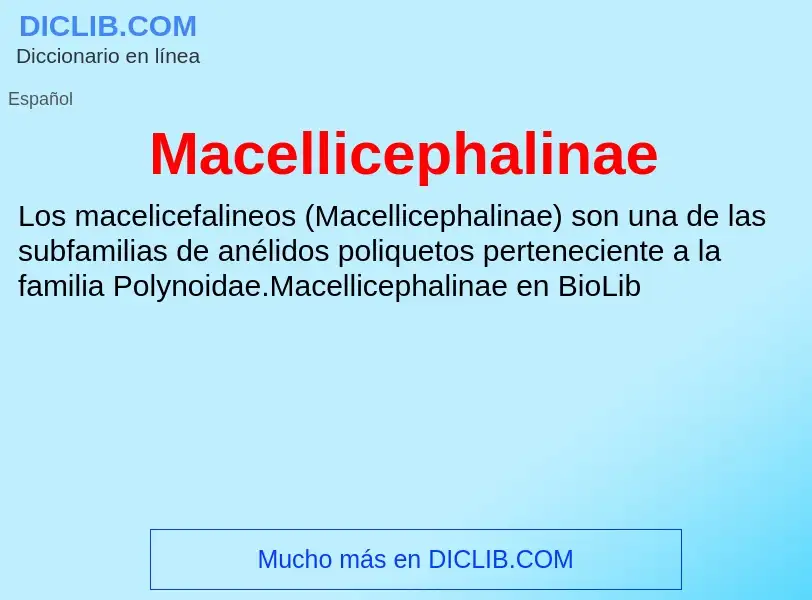 Wat is Macellicephalinae - definition