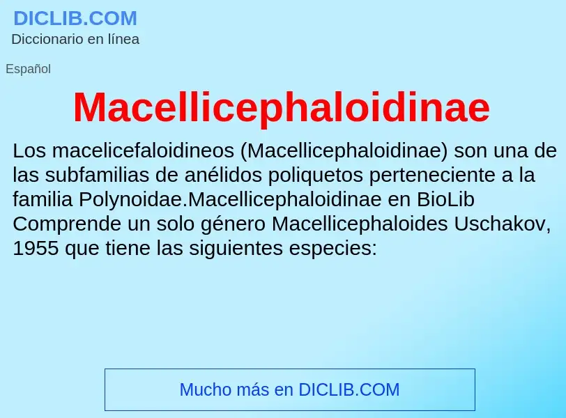 Wat is Macellicephaloidinae - definition