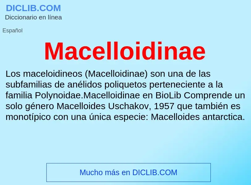 Wat is Macelloidinae - definition