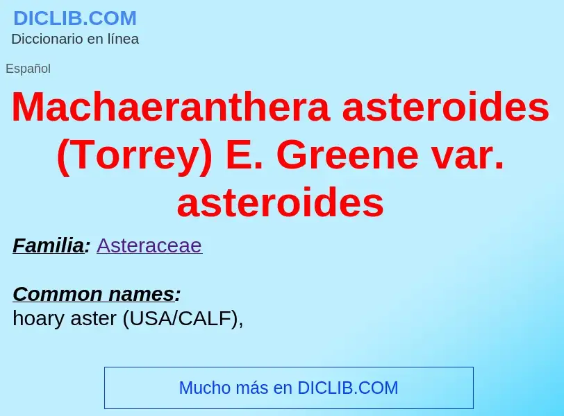 Wat is Machaeranthera asteroides (Torrey) E. Greene var. asteroides - definition