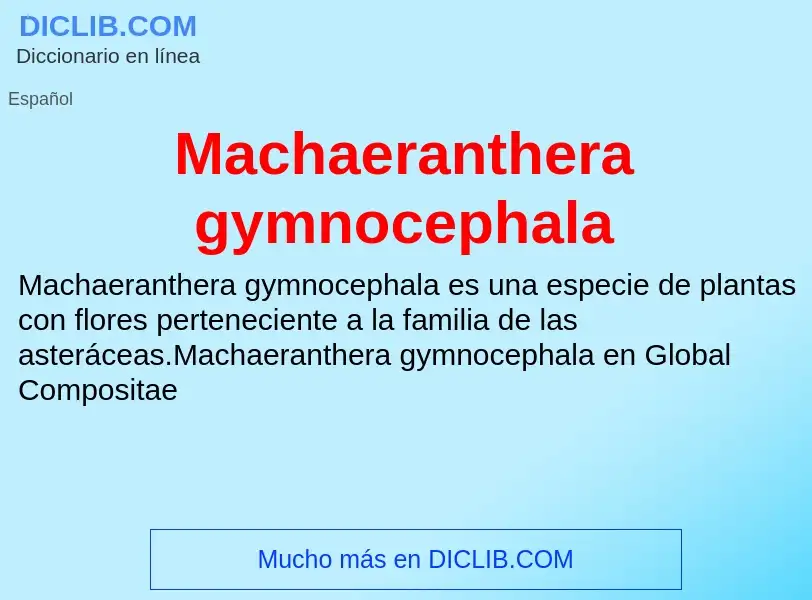 Wat is Machaeranthera gymnocephala - definition