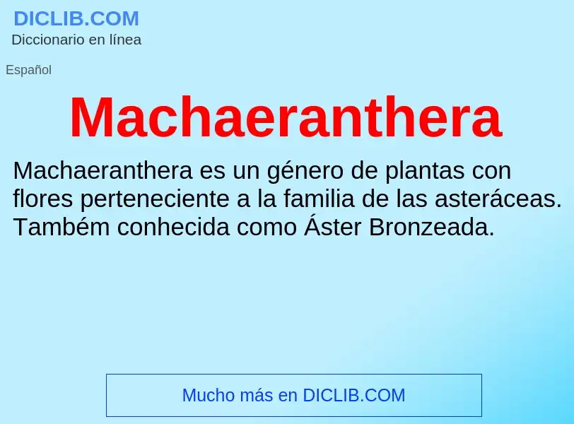 Wat is Machaeranthera - definition