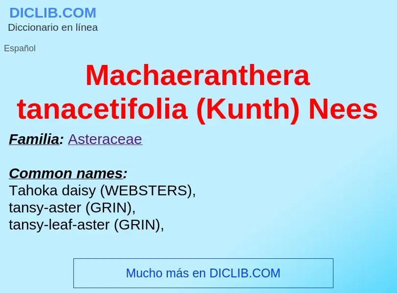 Wat is Machaeranthera tanacetifolia (Kunth) Nees - definition