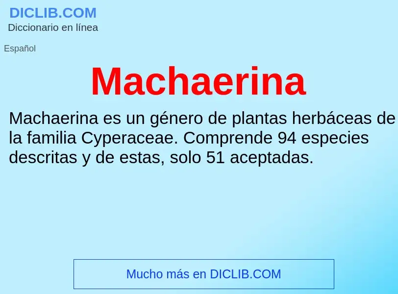 Wat is Machaerina - definition