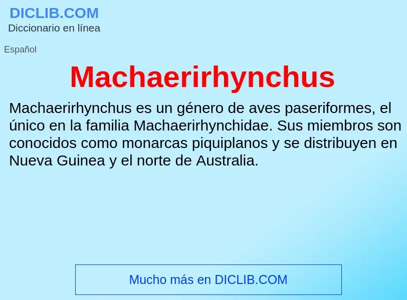 Wat is Machaerirhynchus - definition