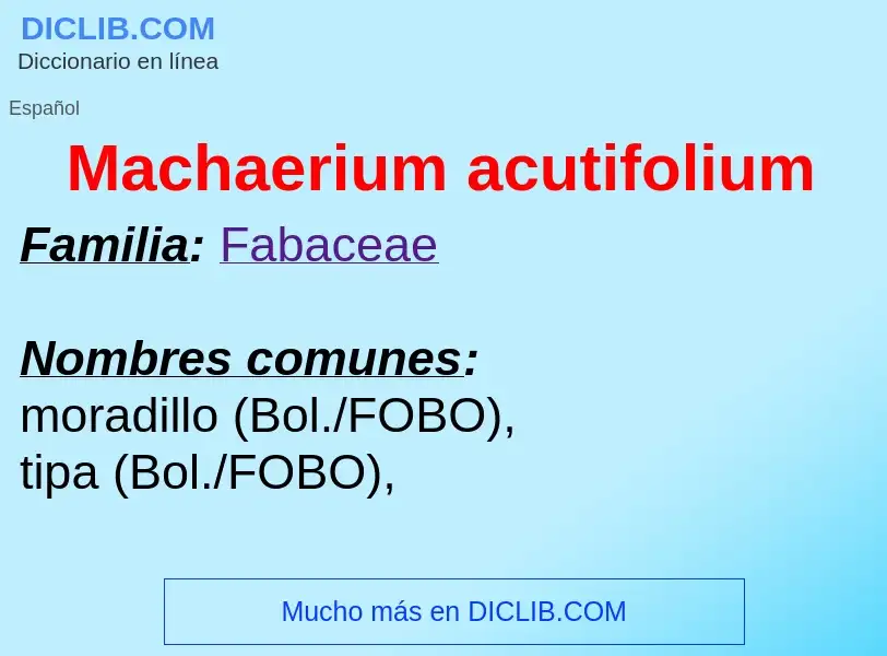 Wat is Machaerium acutifolium - definition