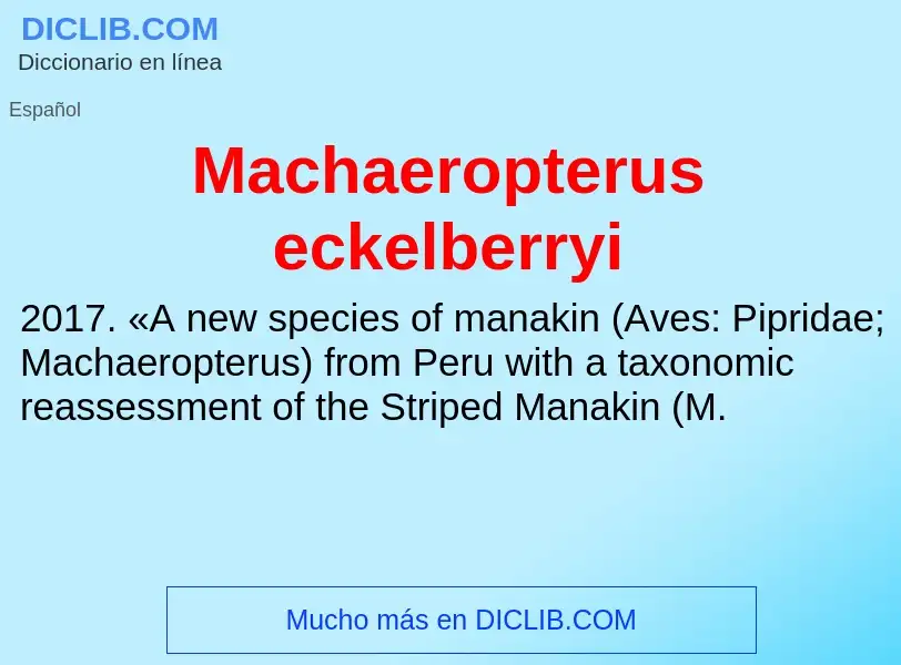 Wat is Machaeropterus eckelberryi - definition