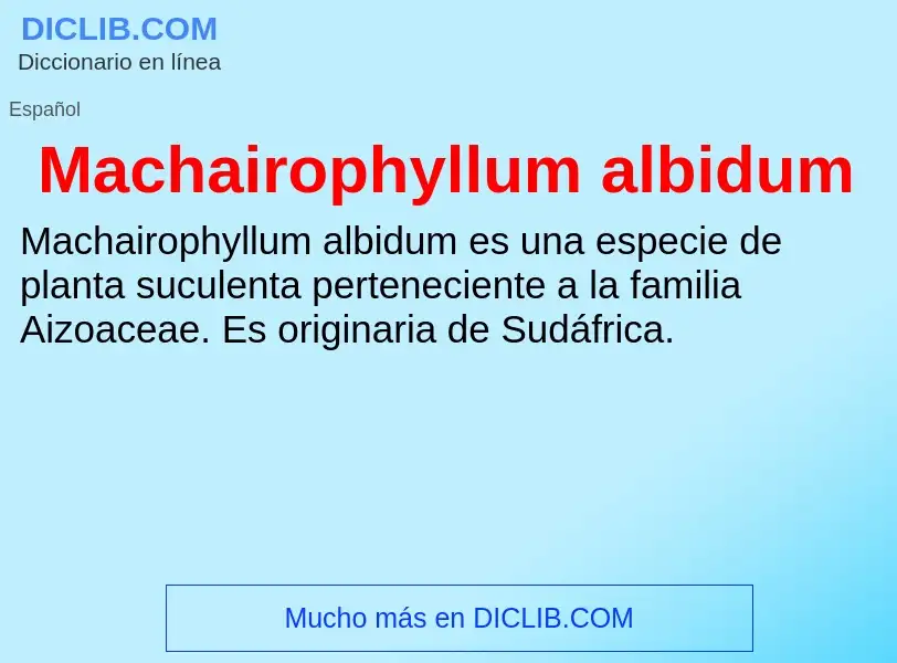 Wat is Machairophyllum albidum - definition