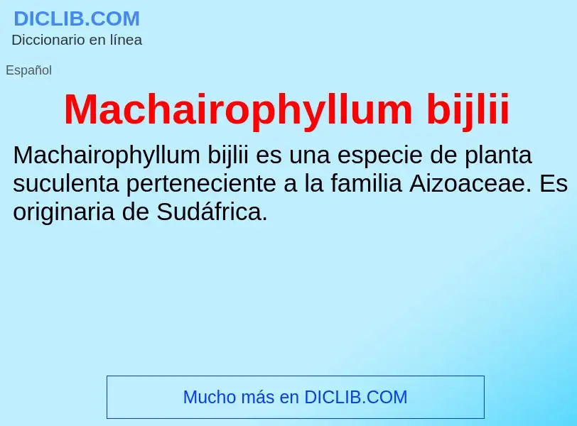 Wat is Machairophyllum bijlii - definition