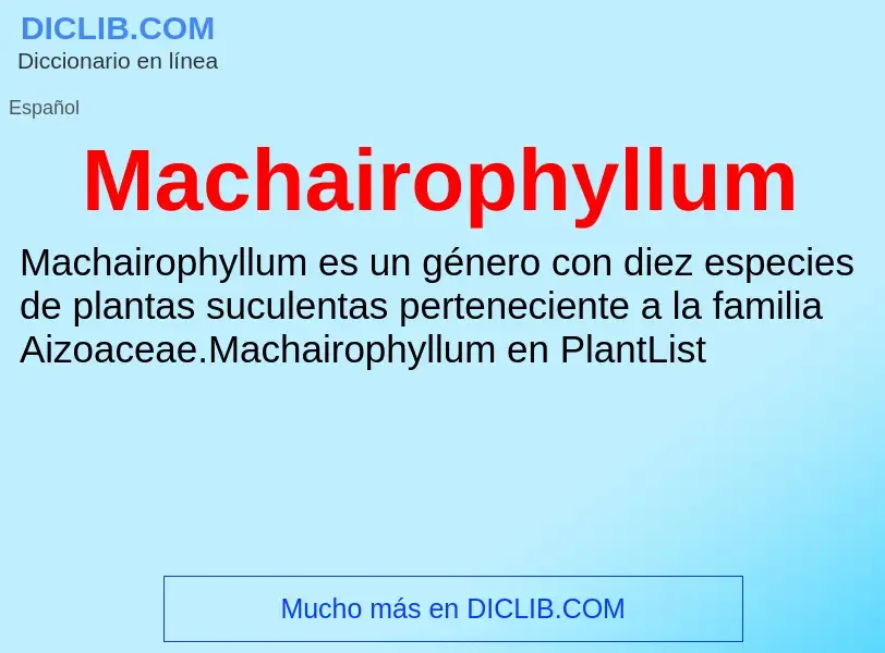 Wat is Machairophyllum - definition