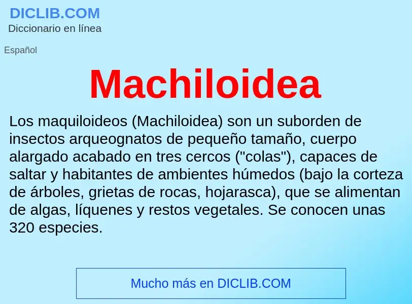 Wat is Machiloidea - definition