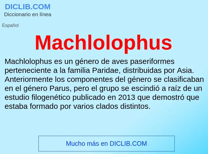 Wat is Machlolophus - definition