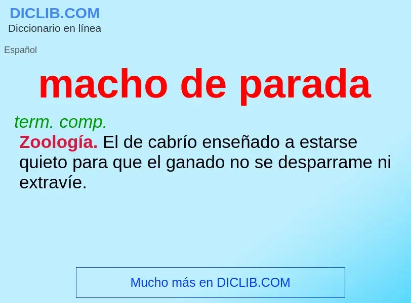 Was ist macho de parada - Definition