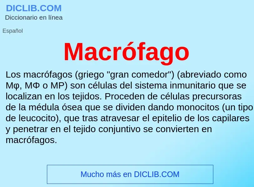 ¿Qué es Macrófago? - significado y definición