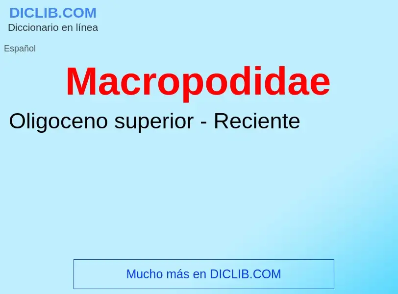 ¿Qué es Macropodidae? - significado y definición