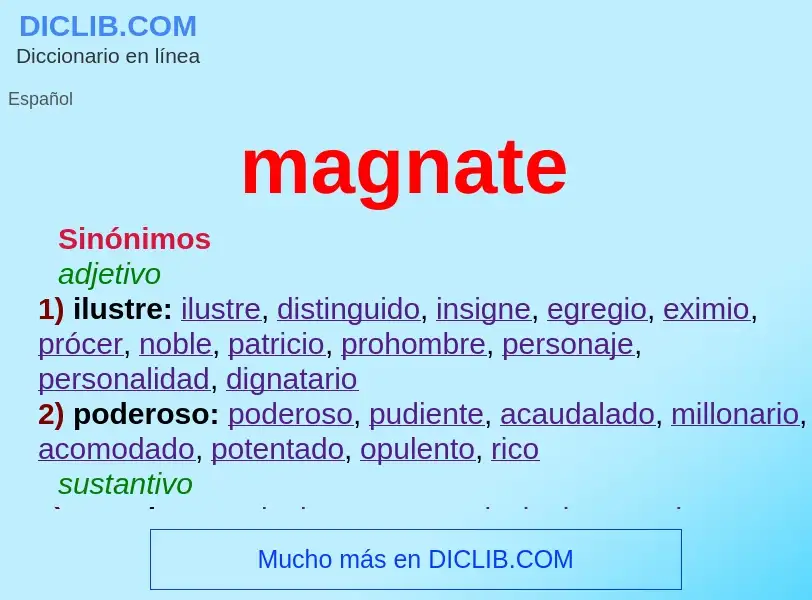 Wat is magnate - definition