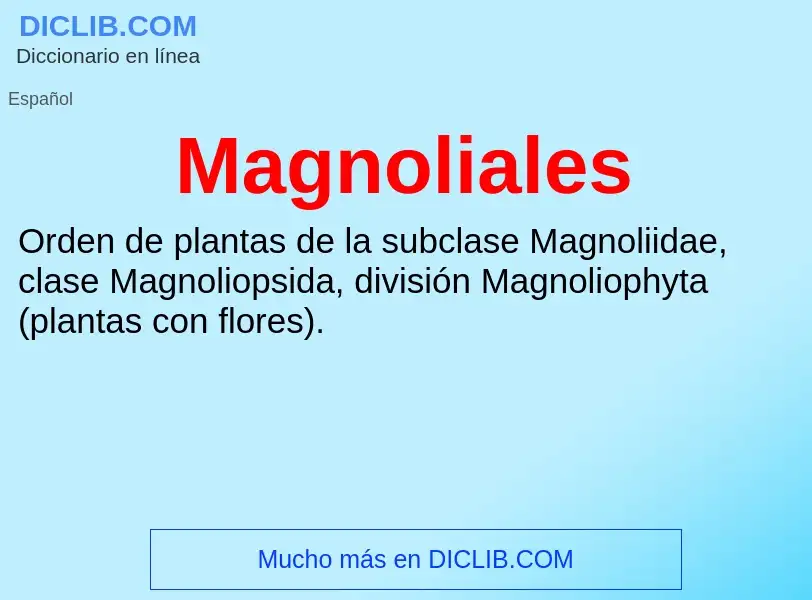 What is Magnoliales - definition