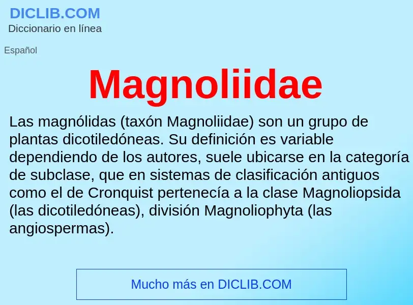 Was ist Magnoliidae - Definition