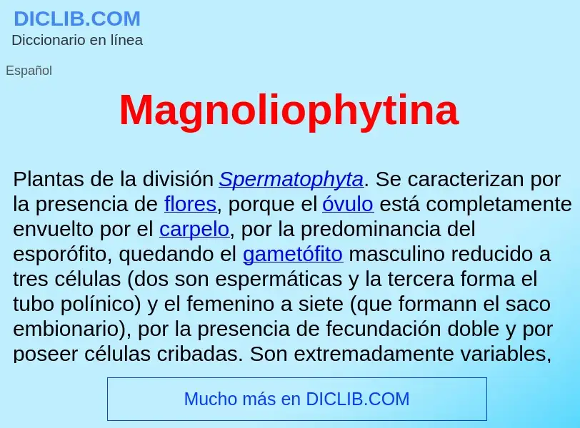 Was ist Magnoliophytina  - Definition