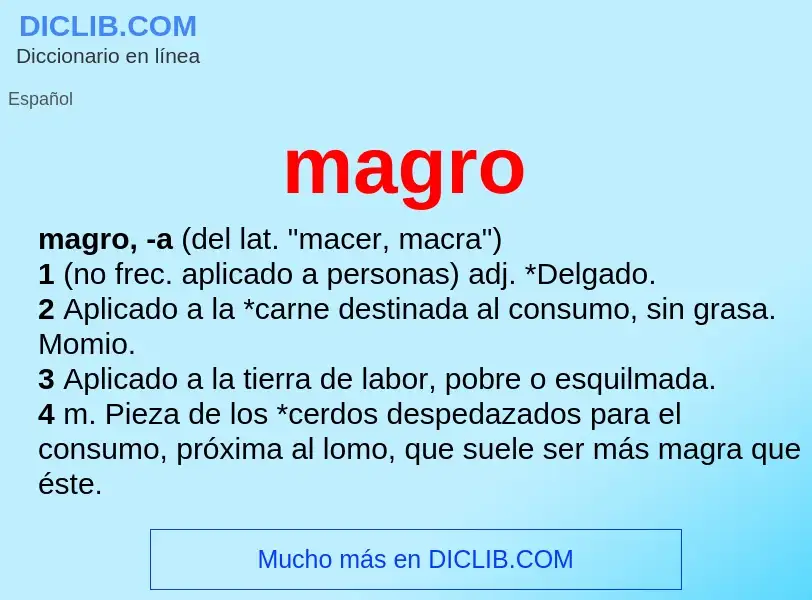 Wat is magro - definition