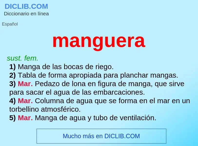 What is manguera - definition