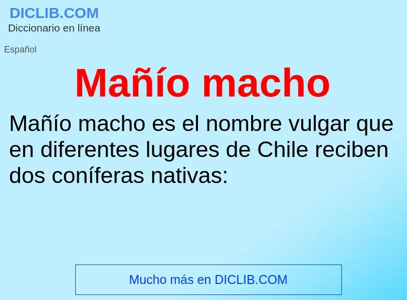 Was ist Mañío macho - Definition