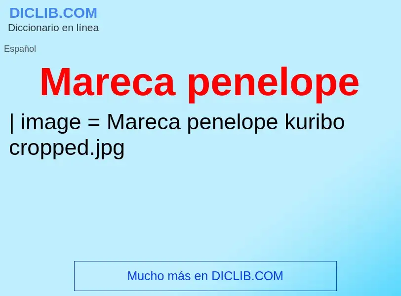 Что такое Mareca penelope - определение