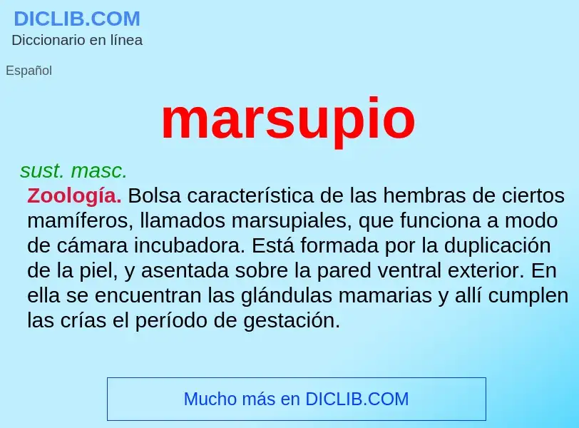 ¿Qué es marsupio? - significado y definición