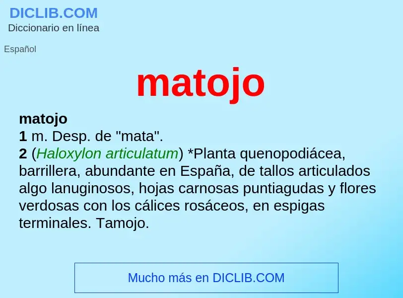 What is matojo - meaning and definition