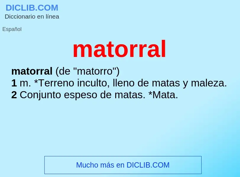 What is matorral - definition