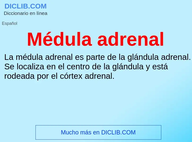 O que é Médula adrenal - definição, significado, conceito