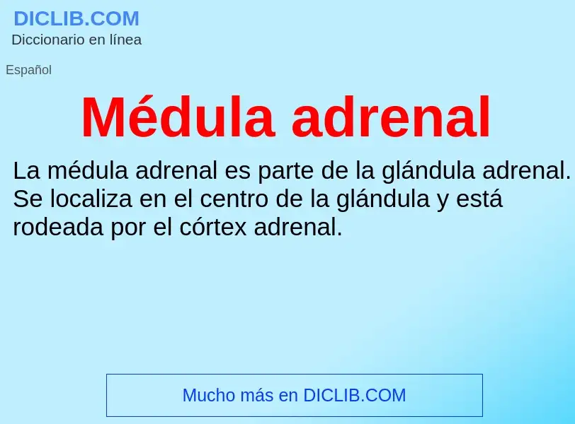 What is Médula adrenal - meaning and definition