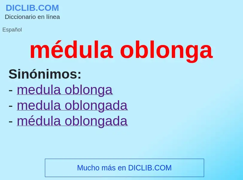 What is médula oblonga - meaning and definition