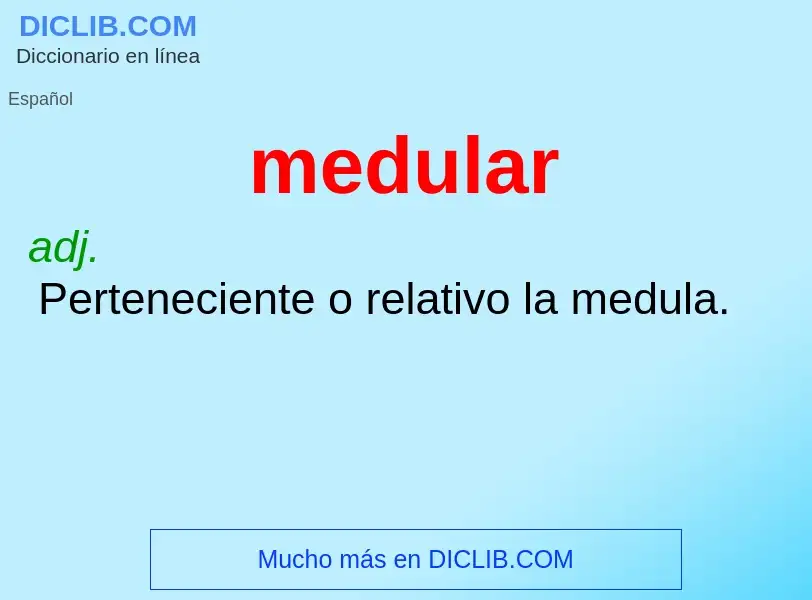 Wat is medular - definition