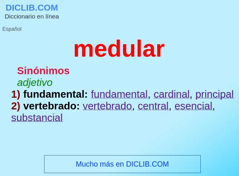 ¿Qué es medular? - significado y definición