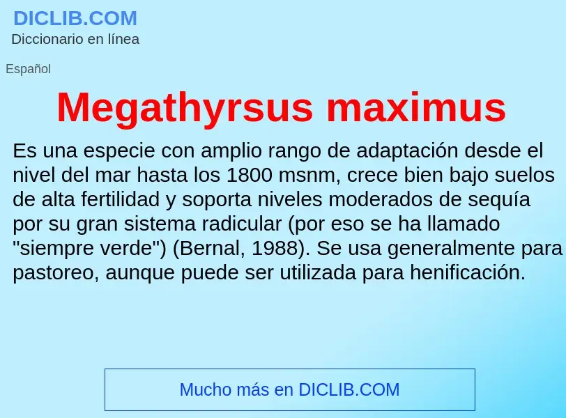 O que é Megathyrsus maximus - definição, significado, conceito