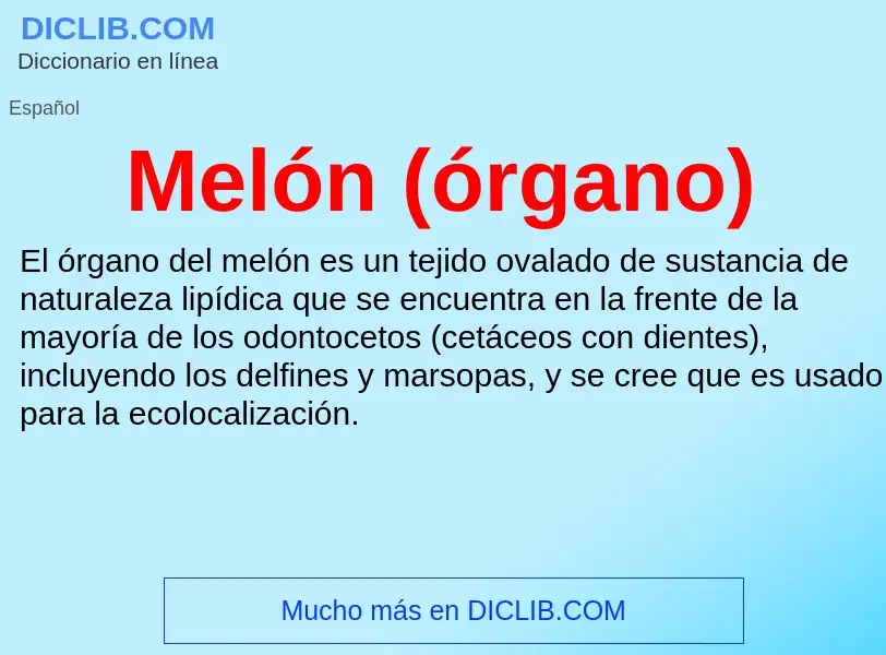 What is Melón (órgano) - meaning and definition