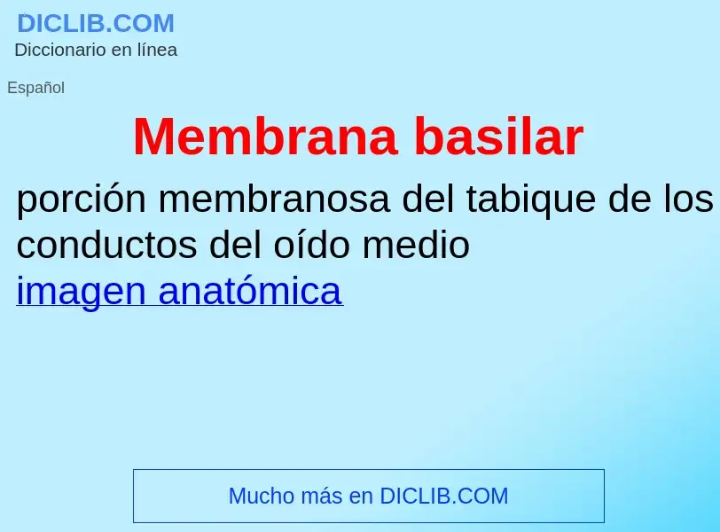 ¿Qué es Membrana basilar? - significado y definición