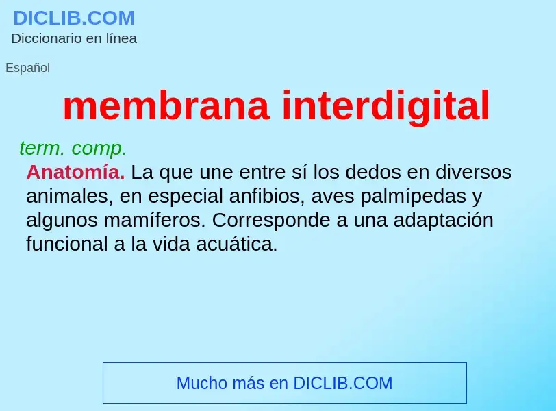 Wat is membrana interdigital - definition