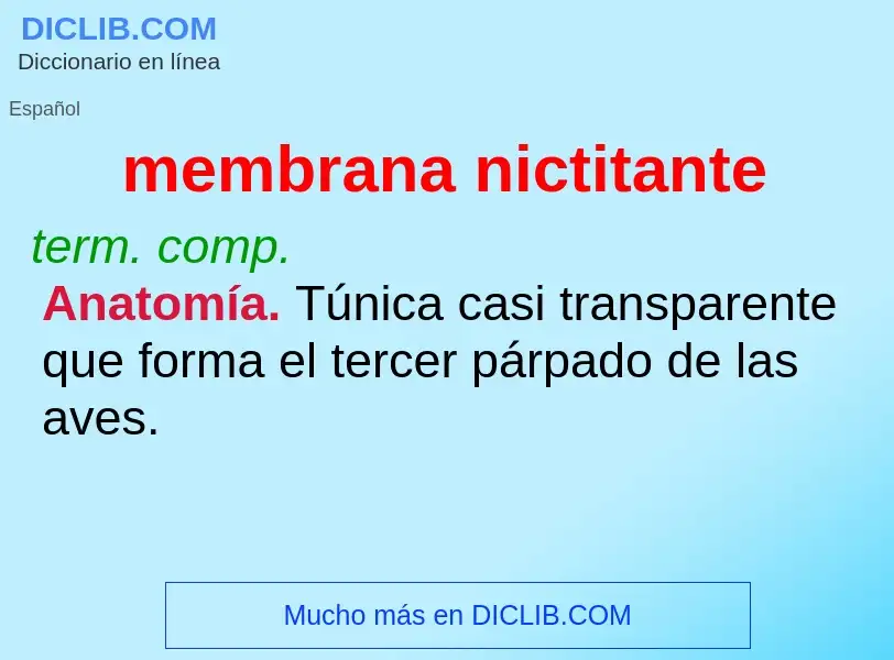 Wat is membrana nictitante - definition