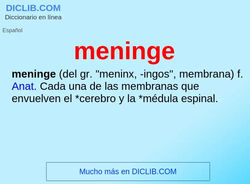 ¿Qué es meninge? - significado y definición