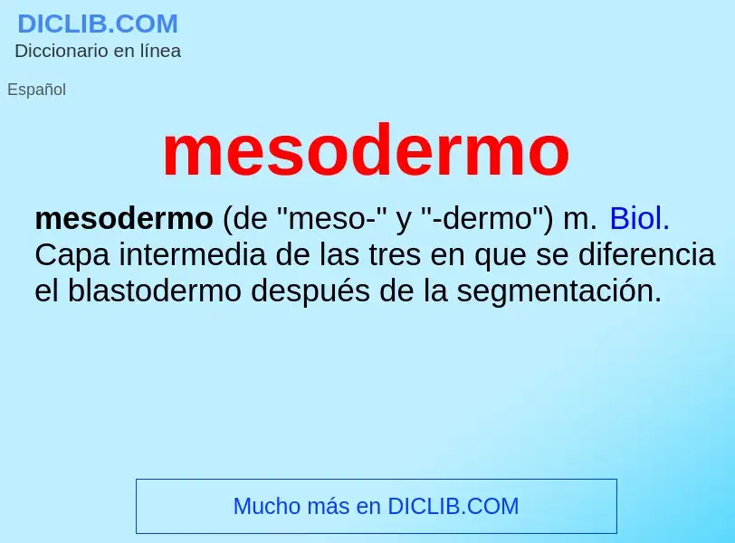 ¿Qué es mesodermo? - significado y definición