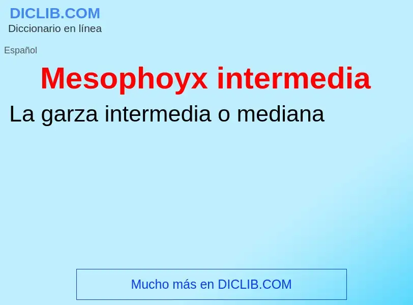 What is Mesophoyx intermedia - meaning and definition