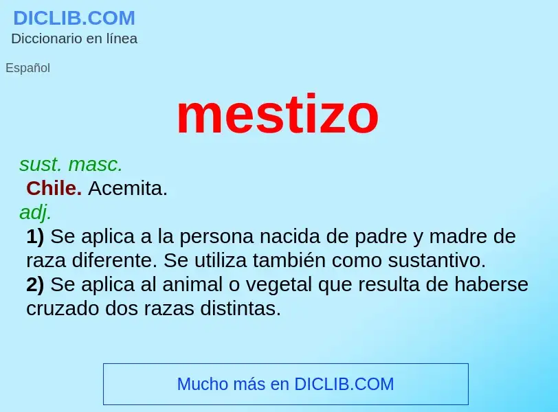 O que é mestizo - definição, significado, conceito