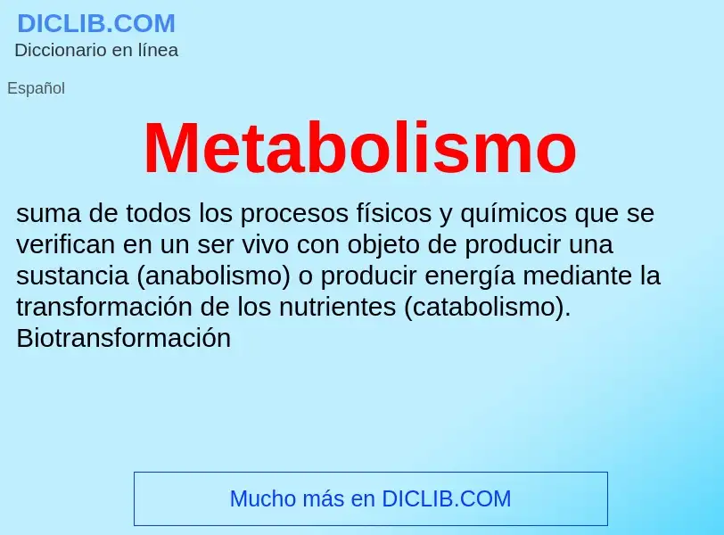 What is Metabolismo - definition