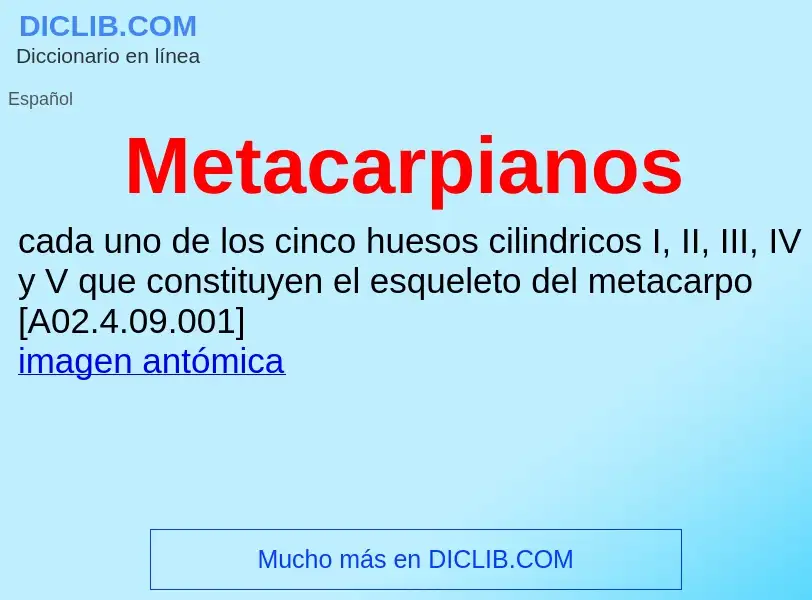 ¿Qué es Metacarpianos? - significado y definición