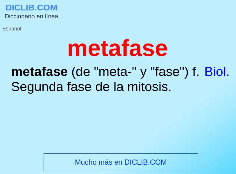 ¿Qué es metafase? - significado y definición